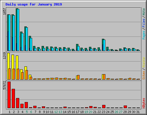 Daily usage for January 2019