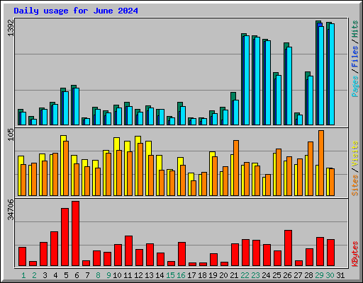 Daily usage for June 2024