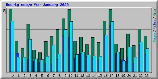 Hourly usage for January 2020