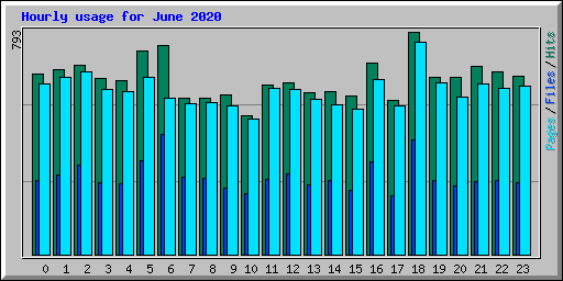 Hourly usage for June 2020