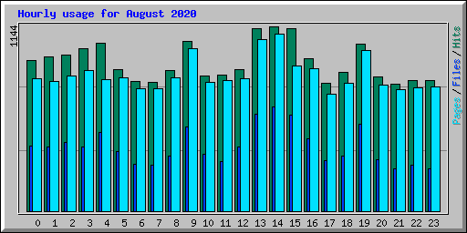 Hourly usage for August 2020
