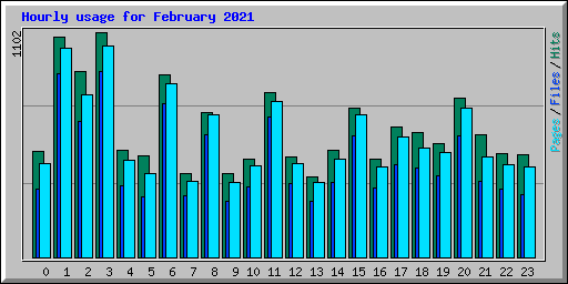 Hourly usage for February 2021