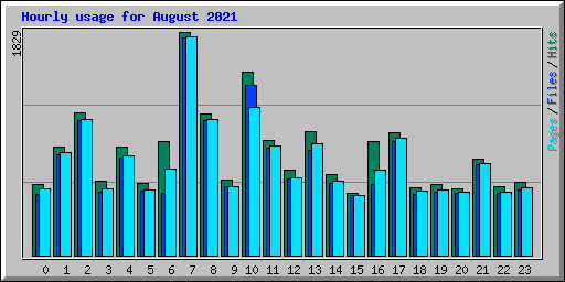 Hourly usage for August 2021