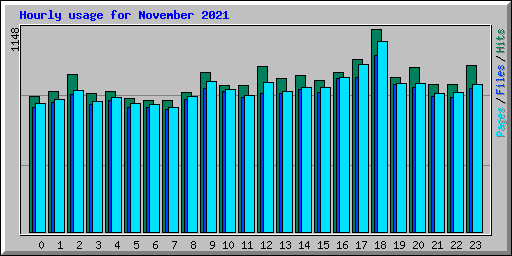 Hourly usage for November 2021