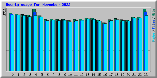 Hourly usage for November 2022