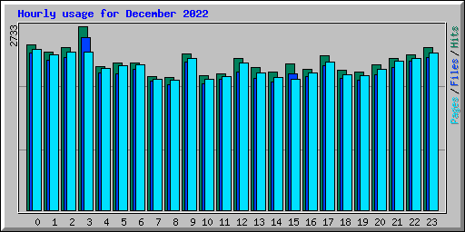 Hourly usage for December 2022