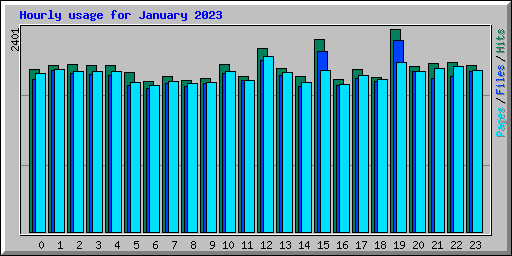 Hourly usage for January 2023