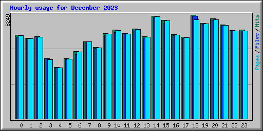Hourly usage for December 2023
