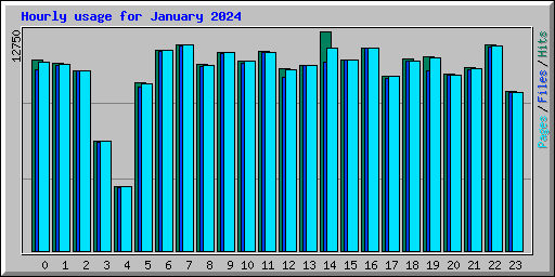 Hourly usage for January 2024