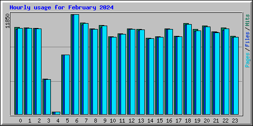 Hourly usage for February 2024