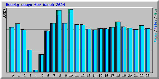 Hourly usage for March 2024