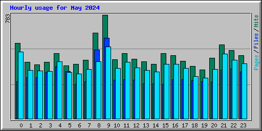 Hourly usage for May 2024