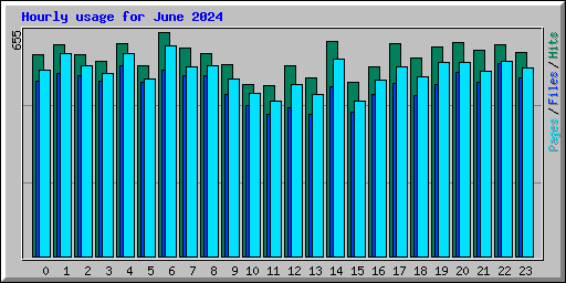 Hourly usage for June 2024