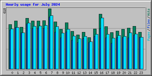 Hourly usage for July 2024