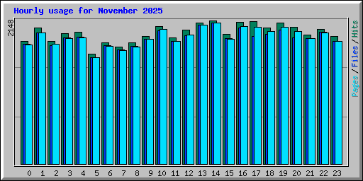 Hourly usage for November 2025