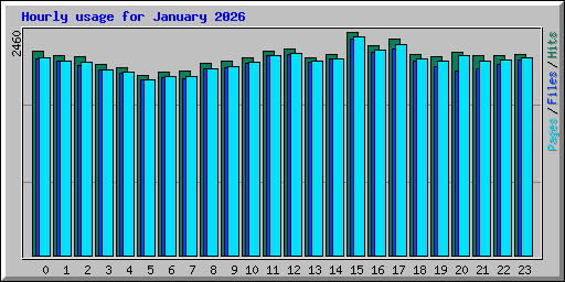 Hourly usage for January 2026