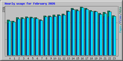 Hourly usage for February 2026