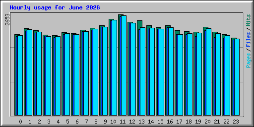 Hourly usage for June 2026