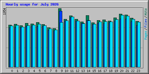 Hourly usage for July 2026
